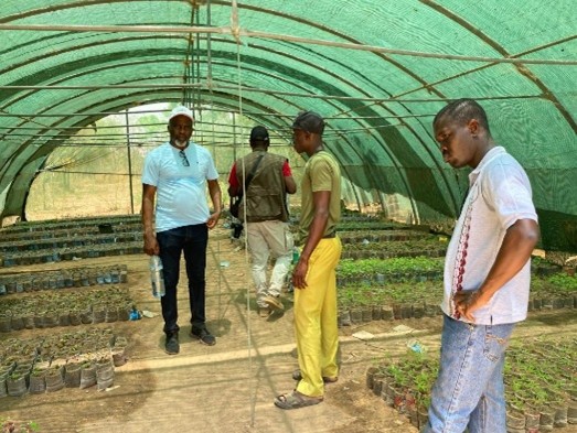 People in a greenhouse looking at young plants.