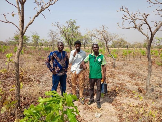 Three men standing on a field with some trees in the background