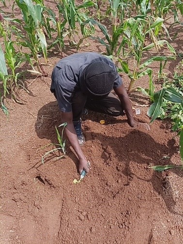 Men in a field doing a test on the soil